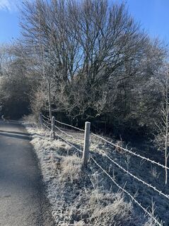 Foto von Denise Miller entlang der Tour