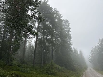 Photo de AnnaB le long du parcours