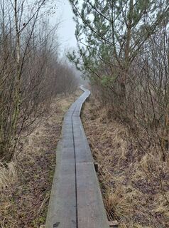 Foto von Willem kremer entlang der Tour