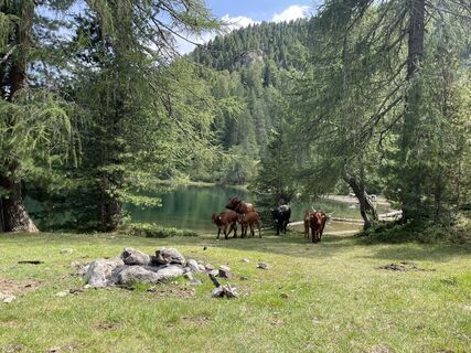 Foto von Jakob entlang der Tour