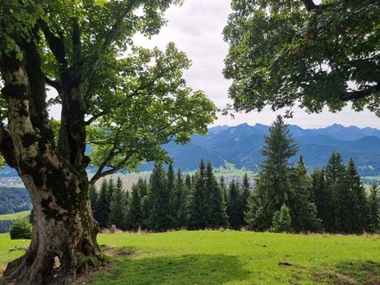 Fotografie z Felix na trase