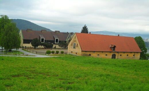 Außenansicht Rheintalerhof - Lipizzanergestüt Piber