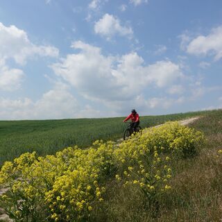 Anfahrt am Waldrand entlang der Uhlstädter Heide