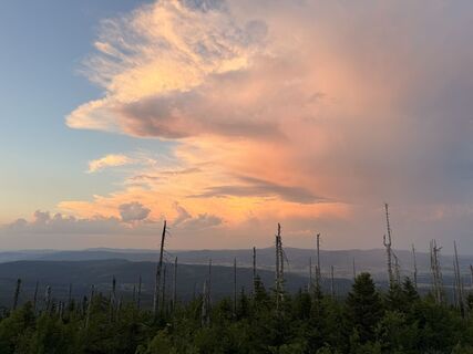Fotografija s spletne strani Natur_erleben_dg na poti