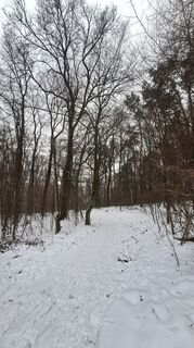 Photo from Regina Fleischmann along the tour