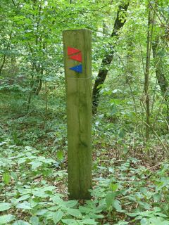 Wegemarkierung durch Pfosten - hier die rote und blaue Route