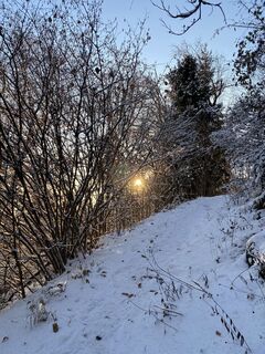 Fotografia z Tamara Pauli na trase