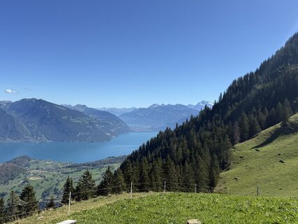 Foto von David Lochmann entlang der Tour
