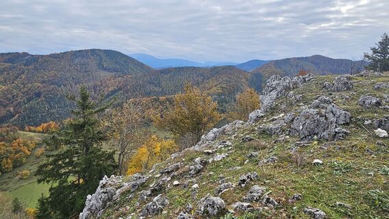 Photo from Alexandra Stani along the tour