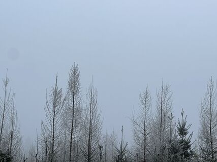 Fotografia z Babs Holz na trase