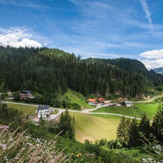 Blick von der Abergrunde auf die Vorbergstraße