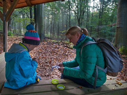 Geocaching in der Wingst, Urlaubsregion Cuxland