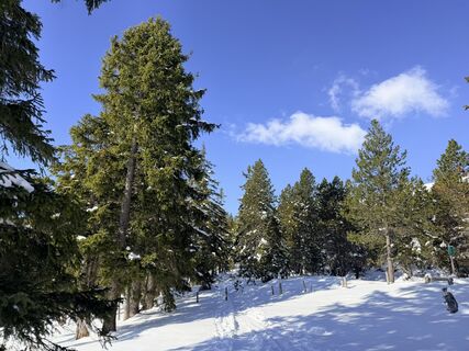 Foto de Ardvanduuren a lo largo del recorrido