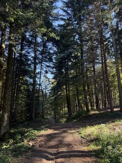 Foto de Manuel Toninello a lo largo del recorrido