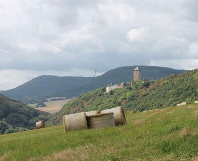 Burg Lichtenberg von der Höhe über Ruthweiler