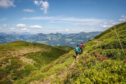 KAT-Walk2019@ErwinHaiden-6486 e2 flora ausblick natur.jpg