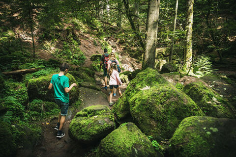 Unterwegs durch das Monbachtal