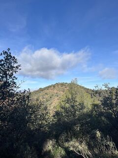 Foto från Hanna Sommersacher under resans gång