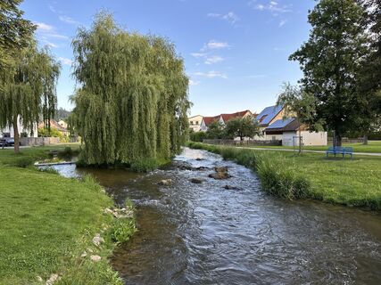 Foto de justasimpleguy a lo largo del recorrido