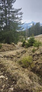 Foto von Oliver Cristea entlang der Tour