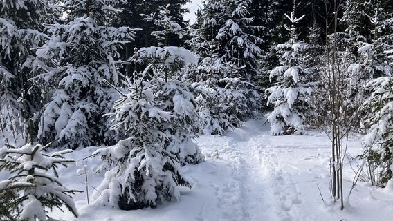 Foto von Christian Kakuska entlang der Tour