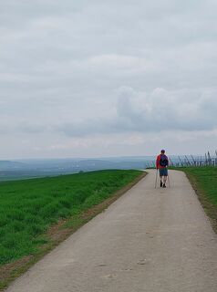 Foto da Monika Weingartner lungo il tour