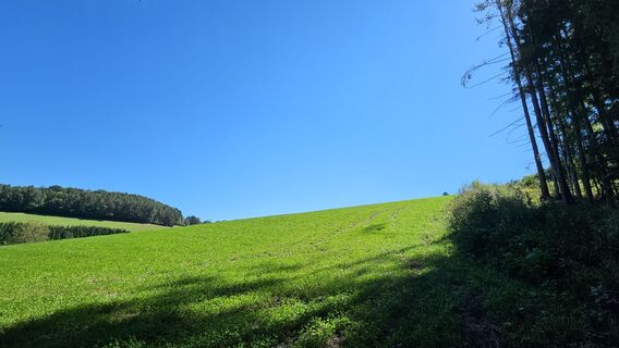 Foto von Soma Gyimesi entlang der Tour
