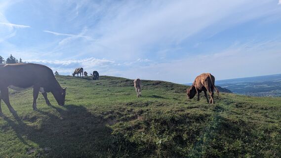 Foto von Thomas Heß entlang der Tour