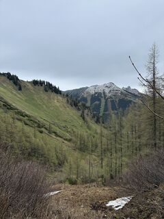 Foto von Fuchsi entlang der Tour