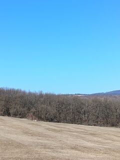 Foto von Julika Jármer entlang der Tour