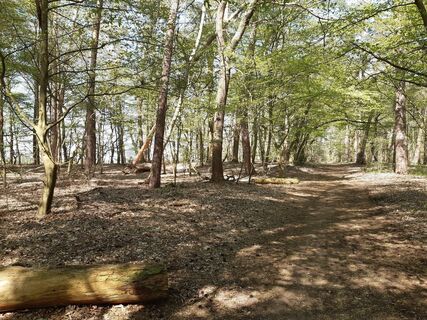 Foto von nordbergschnecke entlang der Tour