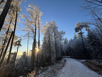Foto de Raphael Häfliger 1 a lo largo del recorrido