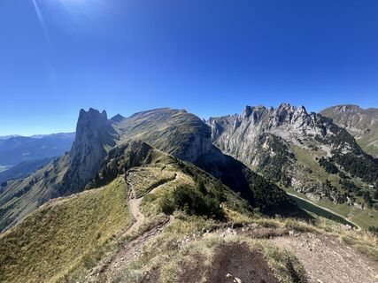 Photo de Marleen Blomsma le long du parcours