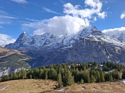 Фото с сайта Maurer Silvia во время экскурсии