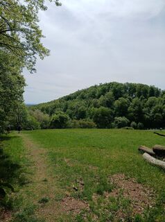 Zemljevid
