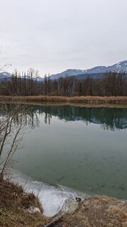 Foto von Mangolein entlang der Tour