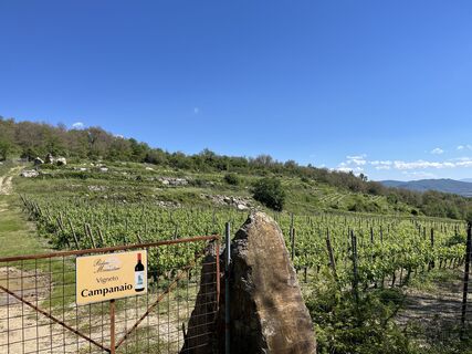 Foto von lou11 entlang der Tour