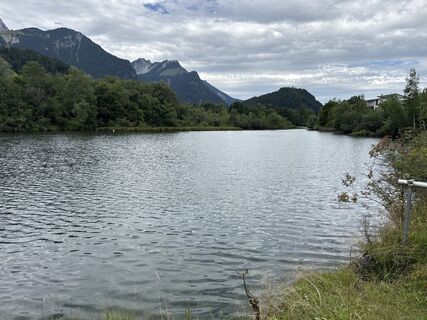 Foto von Grizzli entlang der Tour