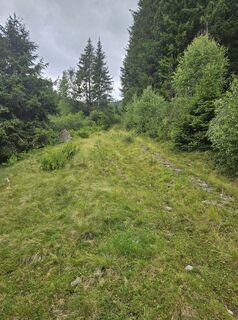 Photo de Christian Griesmayer le long du parcours