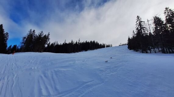 Foto från Regina Fleischmann under resans gång