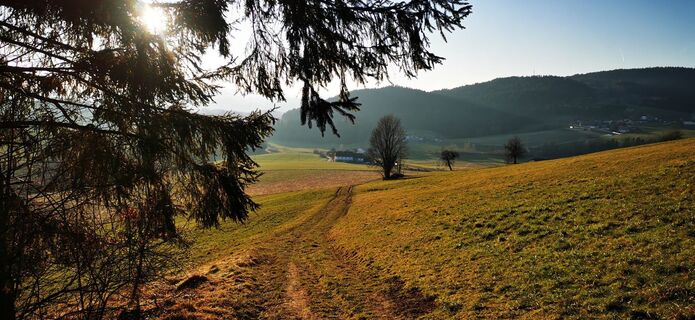 Foto von Klaus Lehner entlang der Tour