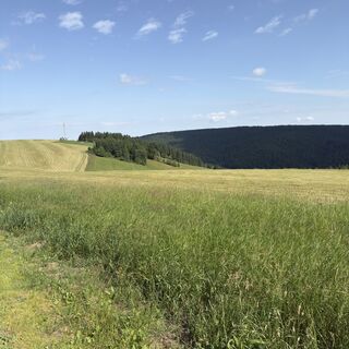 Foto von Steffen Kiesel entlang der Tour