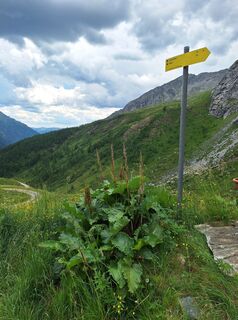 Fotó a Dagmar Hofer honlapról a túra során