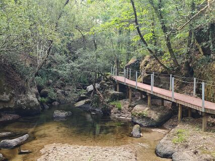 Foto de Michi Steiert a lo largo del recorrido