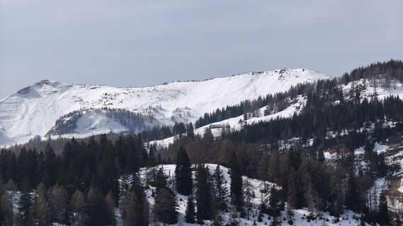 Photo de Jadorfer le long du parcours