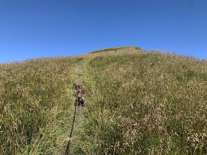Foto de Koen De Wit a lo largo del recorrido