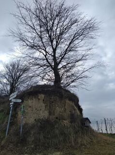 Photo from Johannes B along the tour