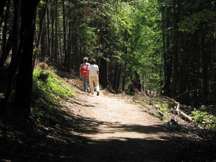 Grünberg-Laudachsee-Hoisn oder Ramsau