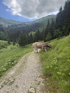 Foto de Helmut Kögler a lo largo del recorrido