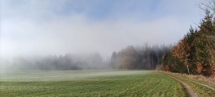 Foto von Werner Golsner entlang der Tour